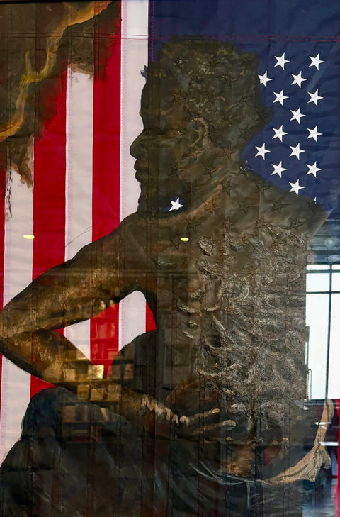 In The Land of the Free - Mixed Media on Canvas by Reggie McFly